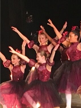 Girls Burgundy Tulle Tutu Dance Costume with Puff Sleeves